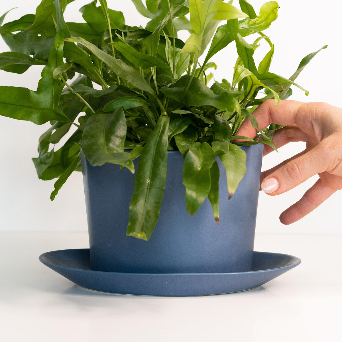 Flowerpot with Saucer in Snowy White high quality on Red Stoneware