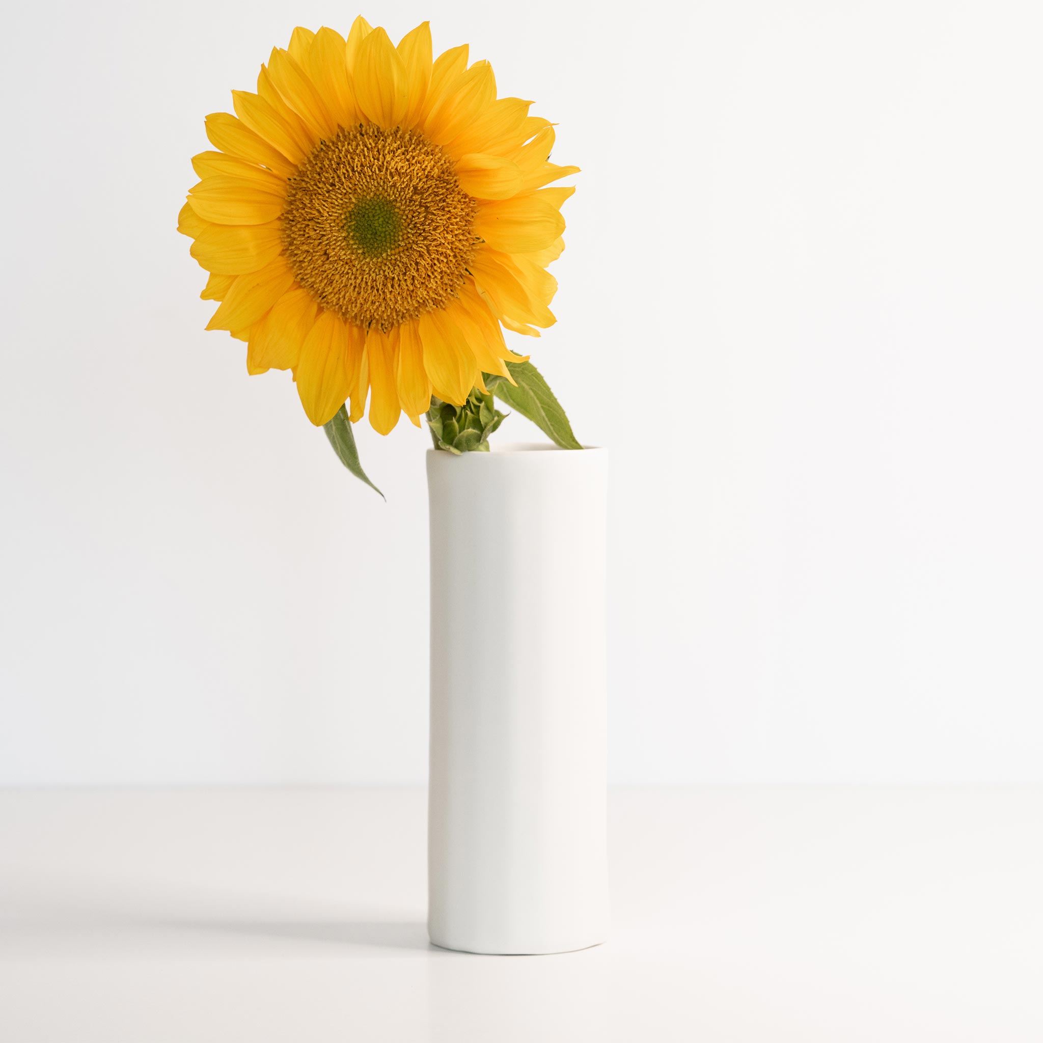 Bloom Vase - Handmade Porcelain Flower Vase Silk White The Bright Angle