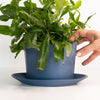 Load image into Gallery viewer, Native Oval Planter - Handmade Porcelain Planter Pisgah Blue The Bright Angle