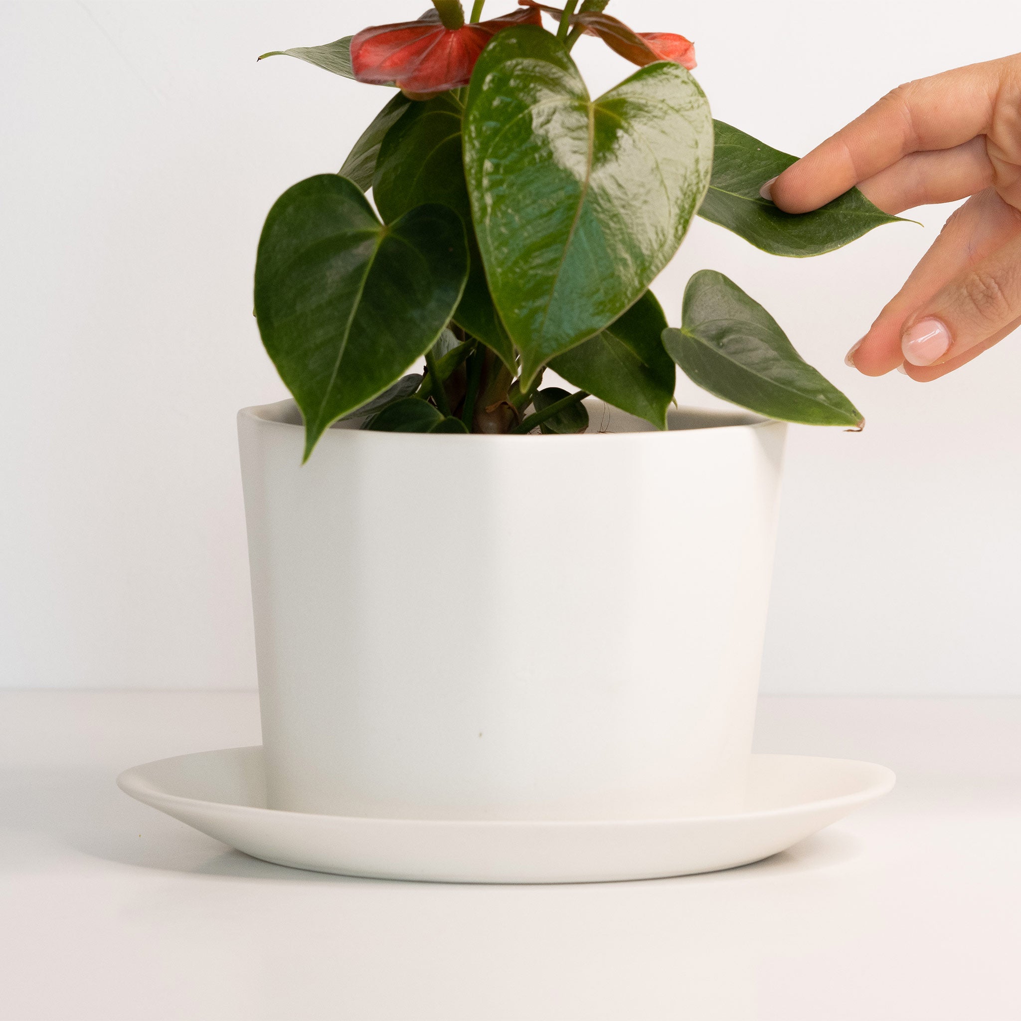 Native Oval Planter - Handmade Porcelain Planter Silk White The Bright Angle