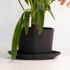 Load image into Gallery viewer, Native Oval Planter - Handmade Porcelain Planter Mica Black The Bright Angle