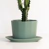 Load image into Gallery viewer, Native Oval Planter - Handmade Porcelain Planter Silk White The Bright Angle