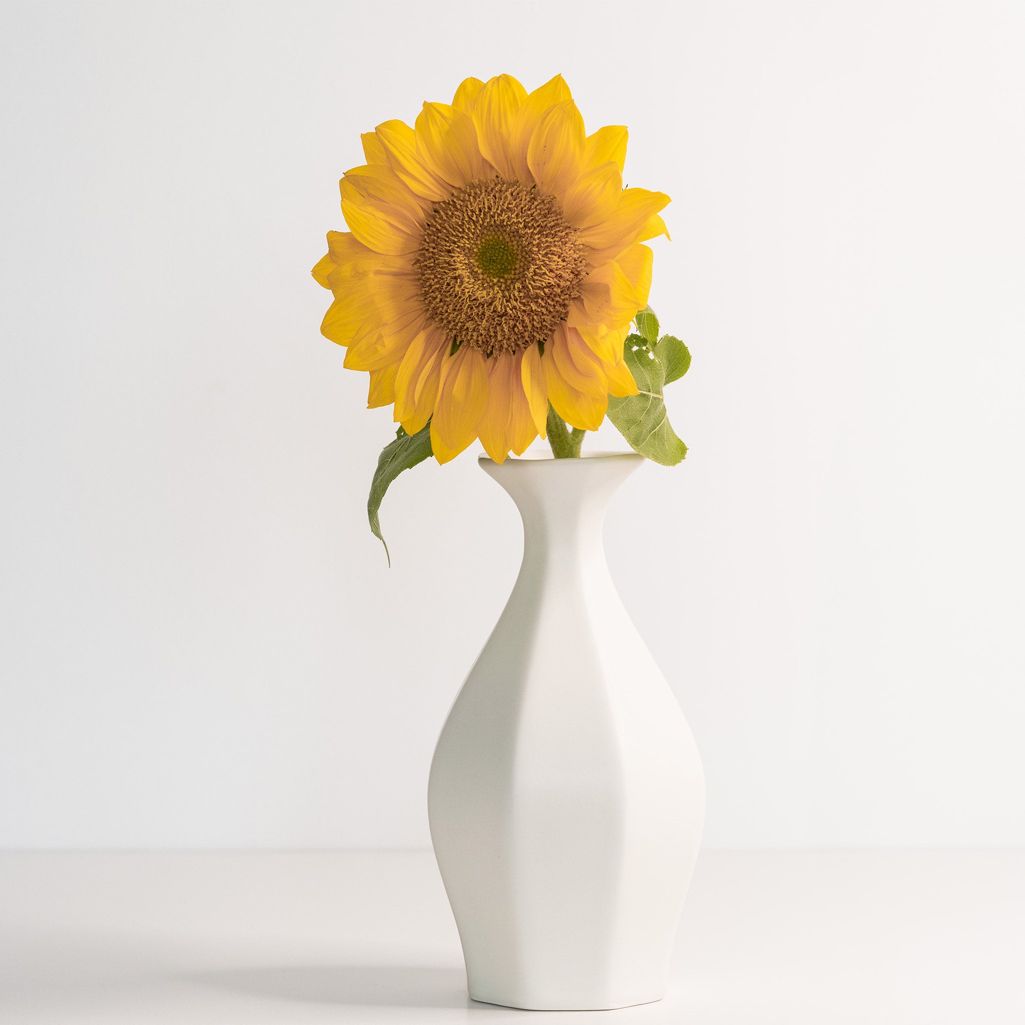 Porcelain Table Flower Vase Silk White The Bright Angle