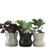 Load image into Gallery viewer, Taiga Planter Five Mica Black The Bright Angle